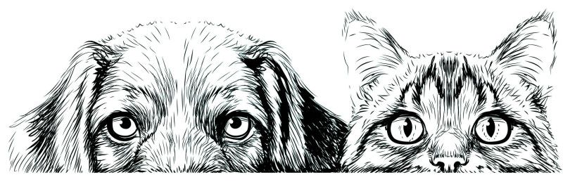 Katzen- & Hundeklappe